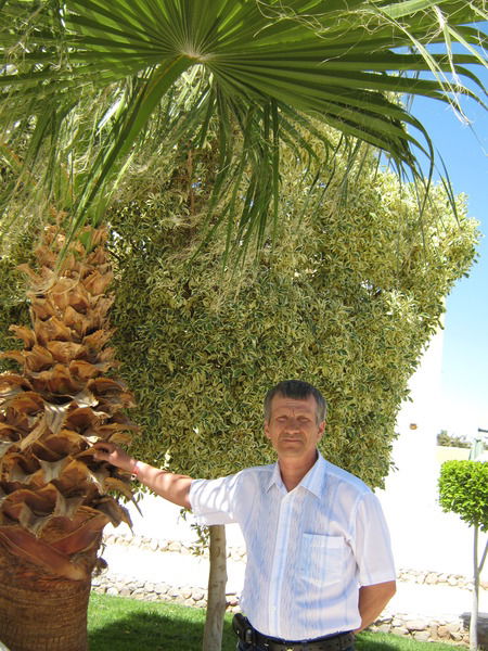 Виктор Шиляев