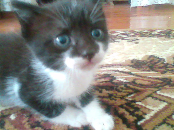 Сергей Чумаченко