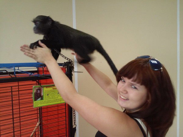 Лена Бандурович