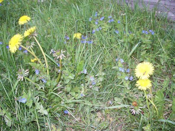 Александр Андрейко