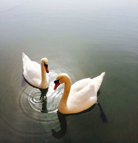 Sandugash Baigenjieva