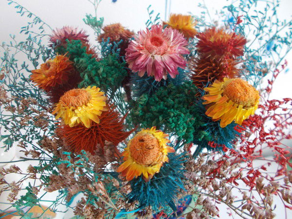 Наталья Белая