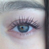 Ксения Шелестун