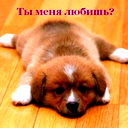 Kishovarz Furqatov