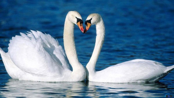 Оксана Федорова