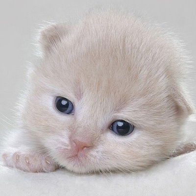 Милана Насырова