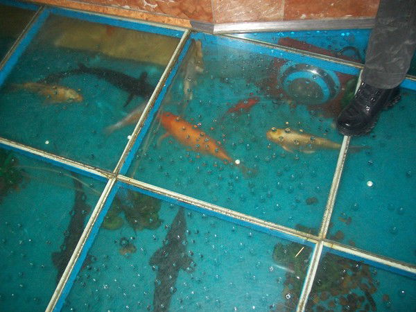 Ирина Чукалина