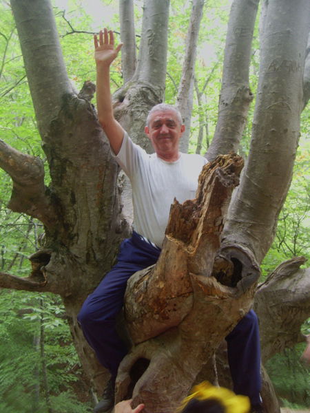 Леонид Цалис