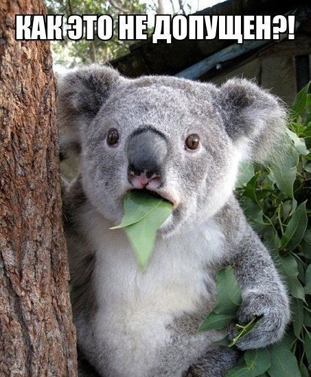 Р У С Я Жамбулов