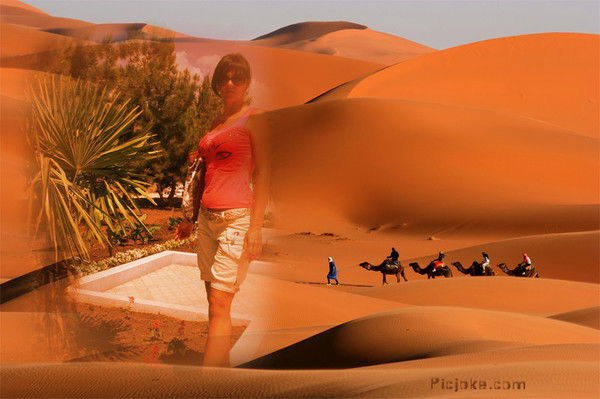 Елена Ефремова