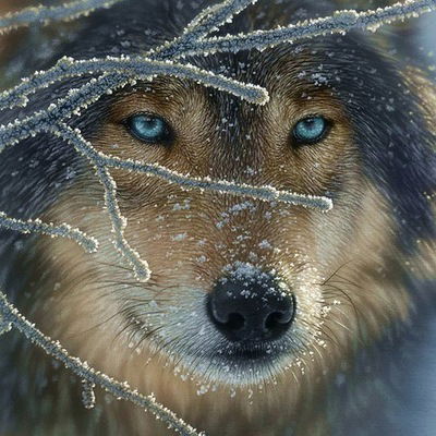 Витвицкий Алексей