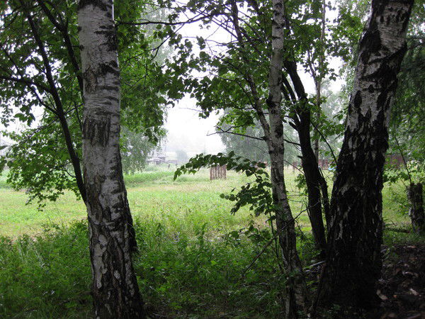 Валентина Лазутина