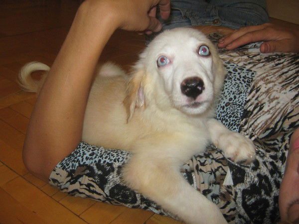 Ирина Ершова