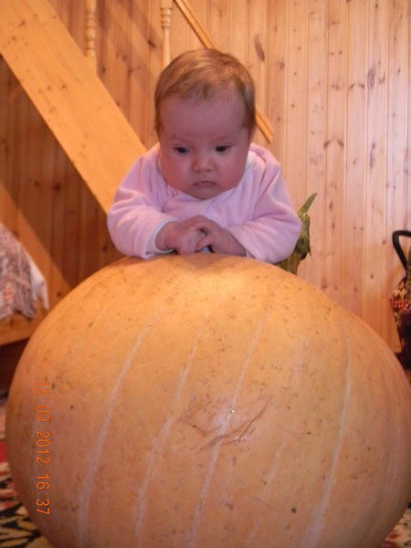 Ольга Каминская