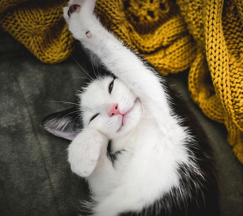 Мария Тумиковская