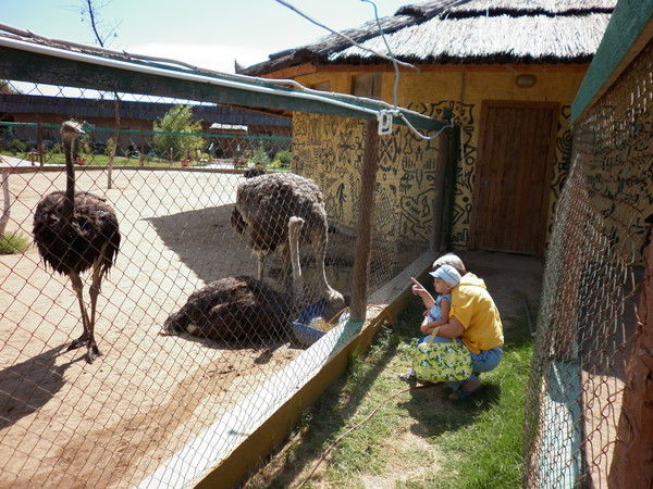 Елена Захарова