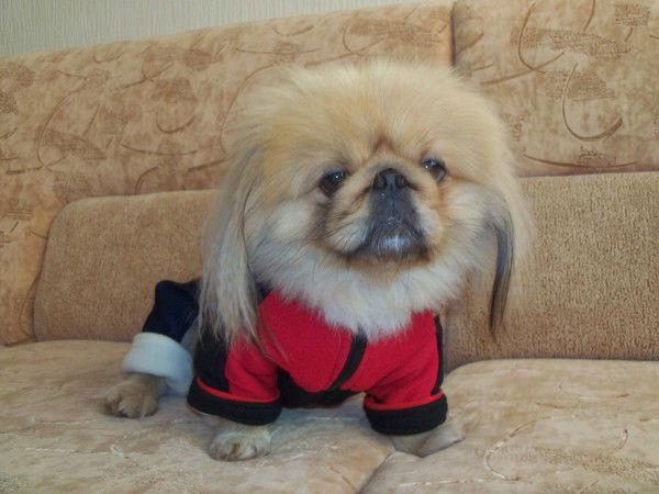 Расима Шафигуллина