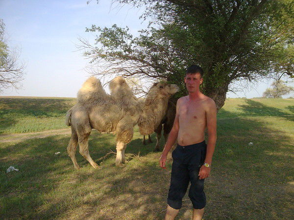 Сергей Цыганков