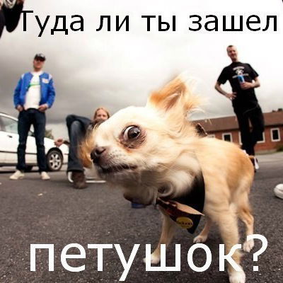 Максим Коноплёв