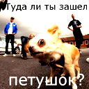 Максим Коноплёв