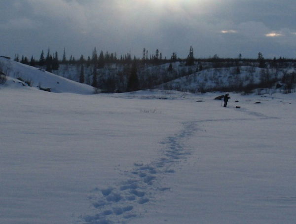 Сергей Цепурнек
