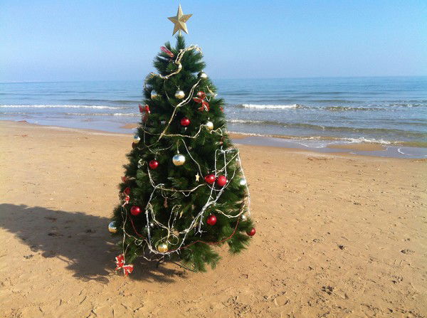 Оксана Тимухина