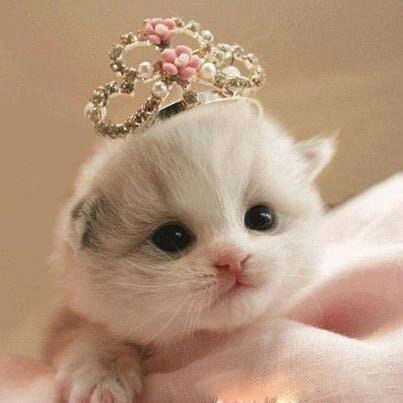 Алина Юферова