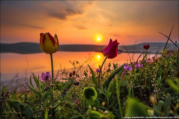 Ерназар Кудайберген