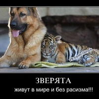 Карим Сулейманов