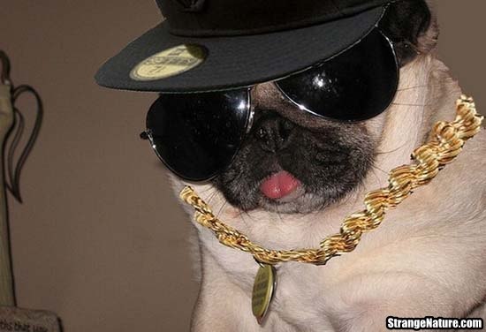 Сергей Бакиров