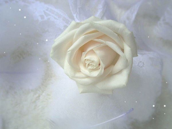 Нигора Хашимова