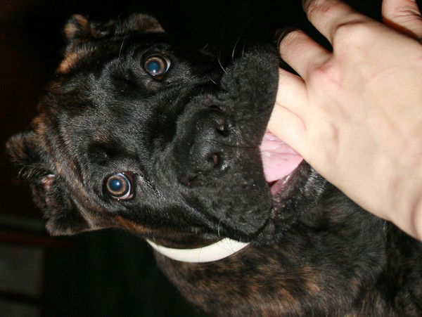 Людмила Киселёва