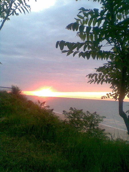 Леся Щербина