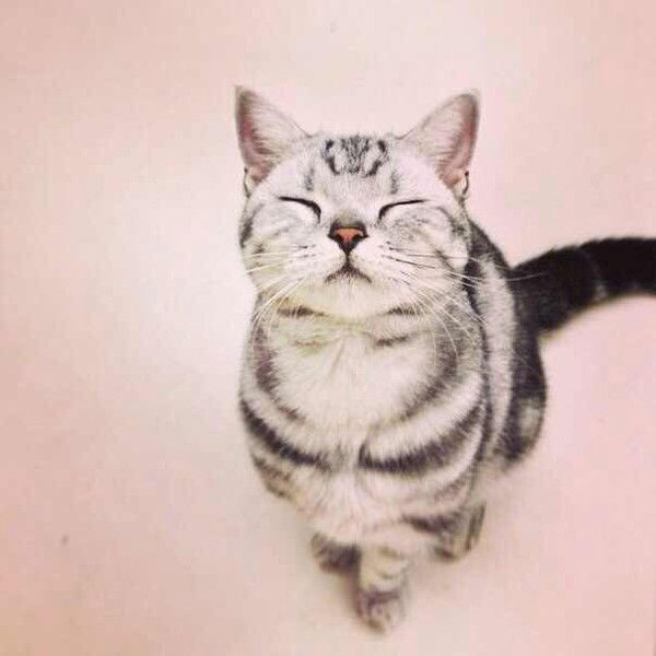 Егор Курбатский