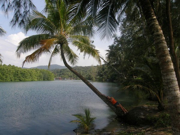 Ольга Ильина