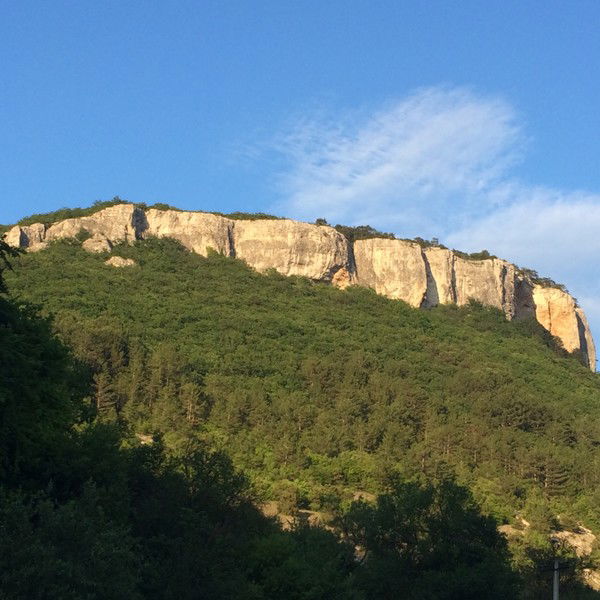 Тома Васильева