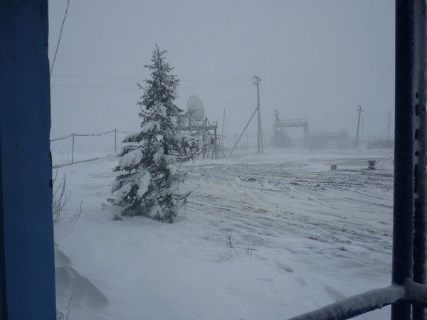 Алексей Сотников