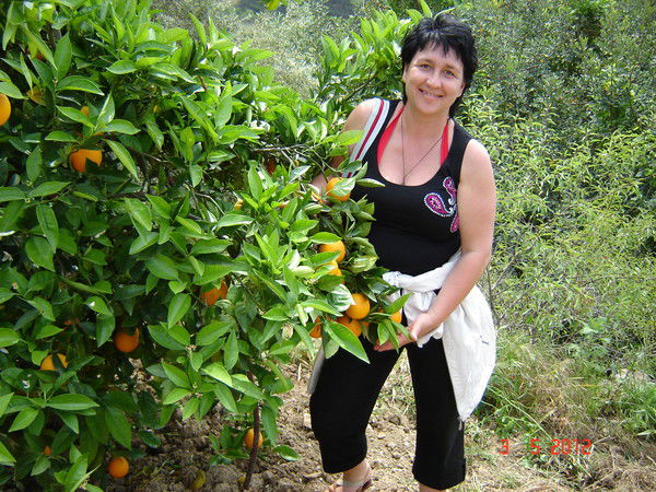 Елена Тихолаз