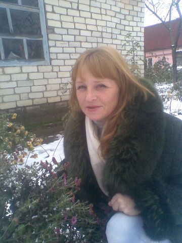 ???? ?????? ??????????????