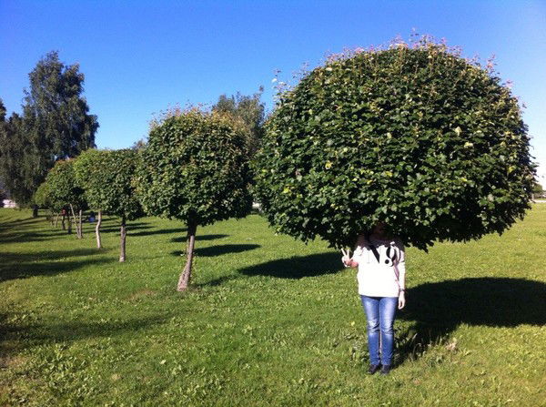 Алина Коханюк