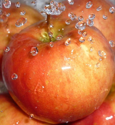 Елена Гапоненко