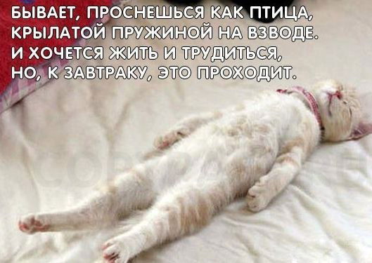 Артур Яненко