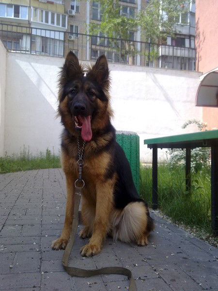 Натали Яремчук