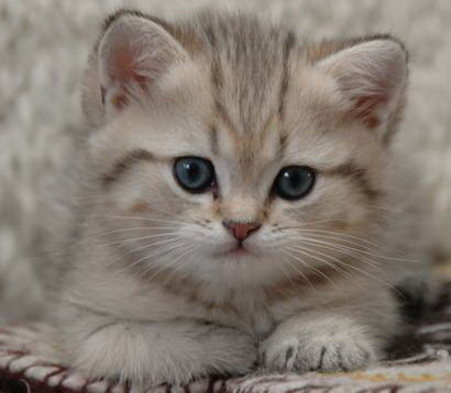 Мария Мишанкина