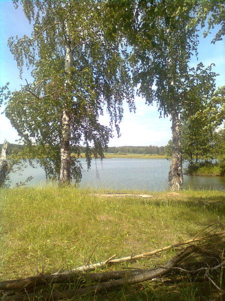 Олег Афанасьев