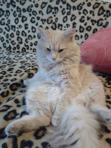 Мария Полякова