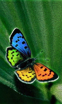 Марина Осьмакова