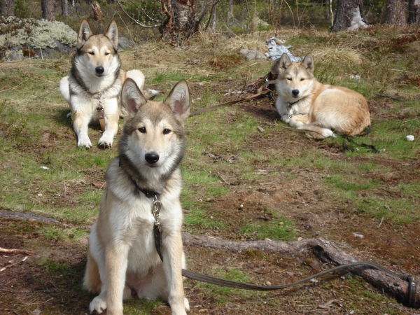 Александр Инюткин