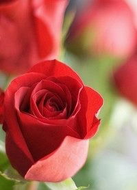 Гульнура Есбатырова