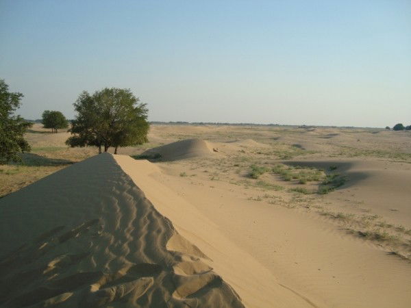 Серик Имангалиев